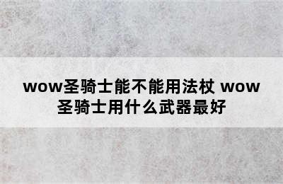 wow圣骑士能不能用法杖 wow圣骑士用什么武器最好